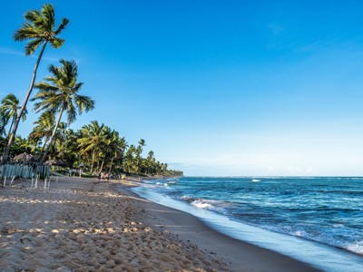 Palmenstrand aan de kust van Brazilië met zacht zand en golven onder een heldere blauwe lucht.