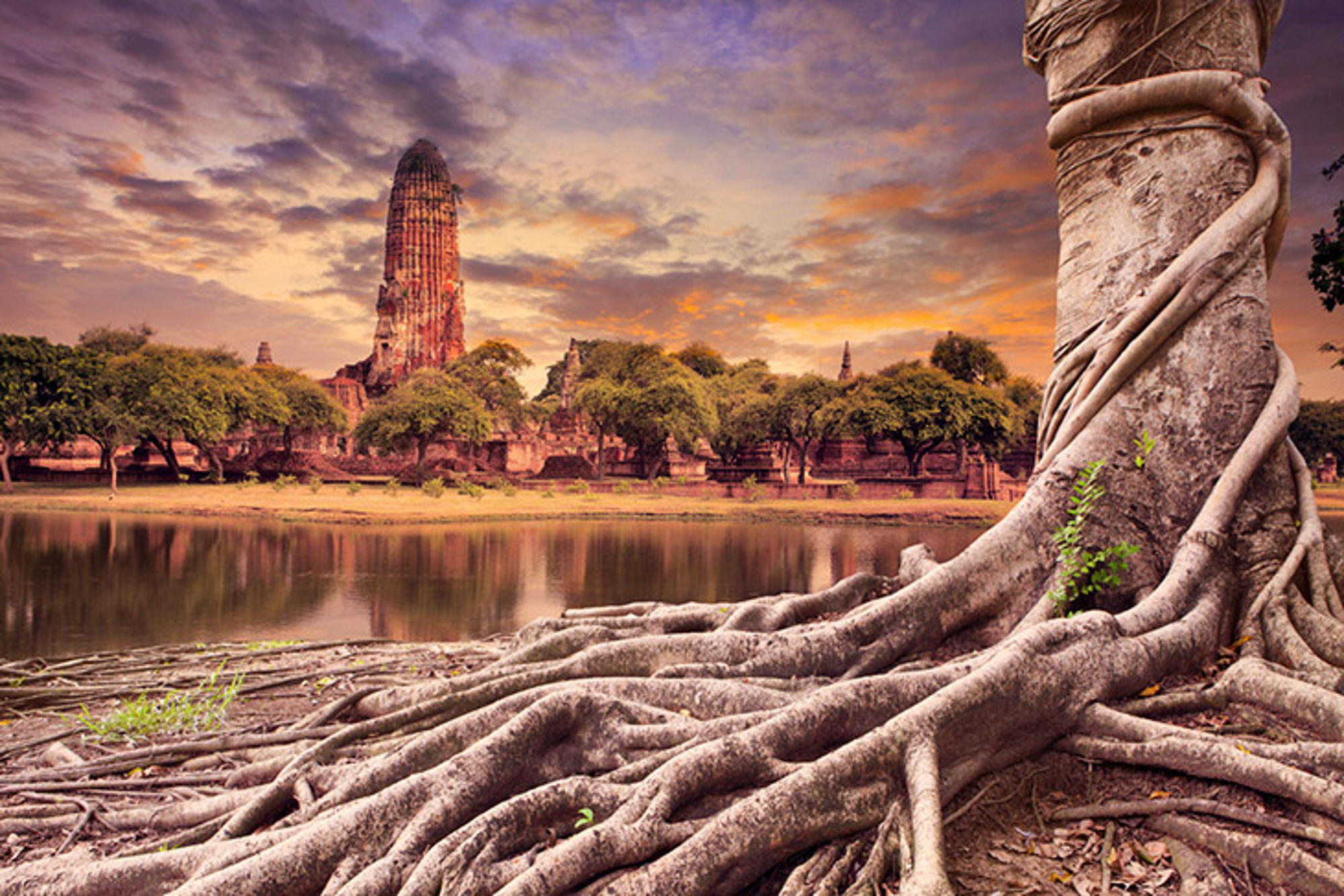 Tempel aan het water in Thailand Wat Chaiwatthanaram-tempel in Ayutthaya bij zonsondergang, met boomwortels op de voorgrond.