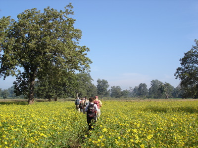 Wandelaars met rugzakken lopen door een veld met gele bloemen in Orissa tijdens de Route Orissa, 23 dagen.