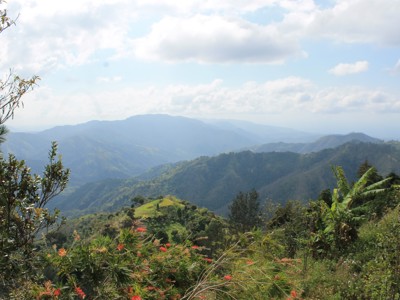 Uitzicht over de groene Blue Mountains op Jamaica onder een lichtbewolkte lucht.