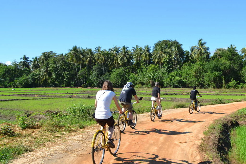 Fietstocht door rijstvelden en palmbomen tijdens een groepsrondreis in Sri Lanka.