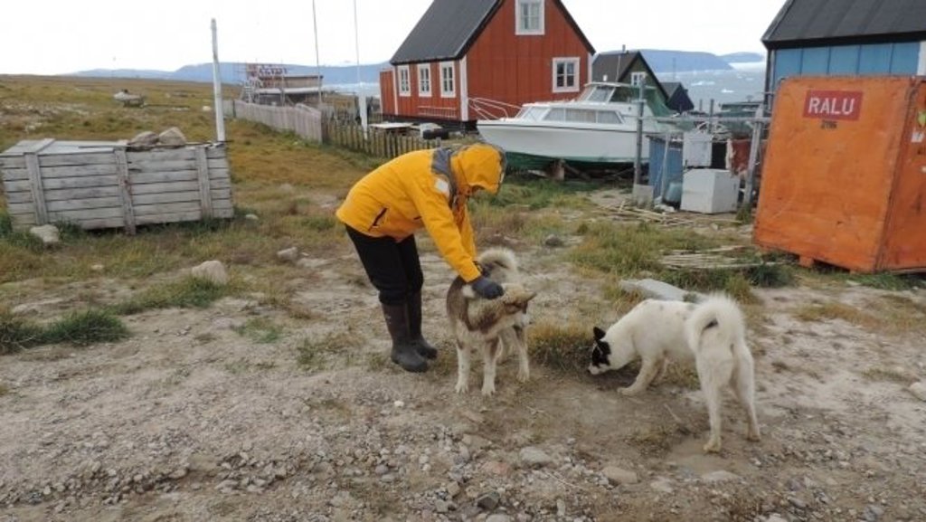 Kleurrijke houten huizen aan de kust in Arctisch Canada en Groenland tijdens de Northwest Passage-cruise.