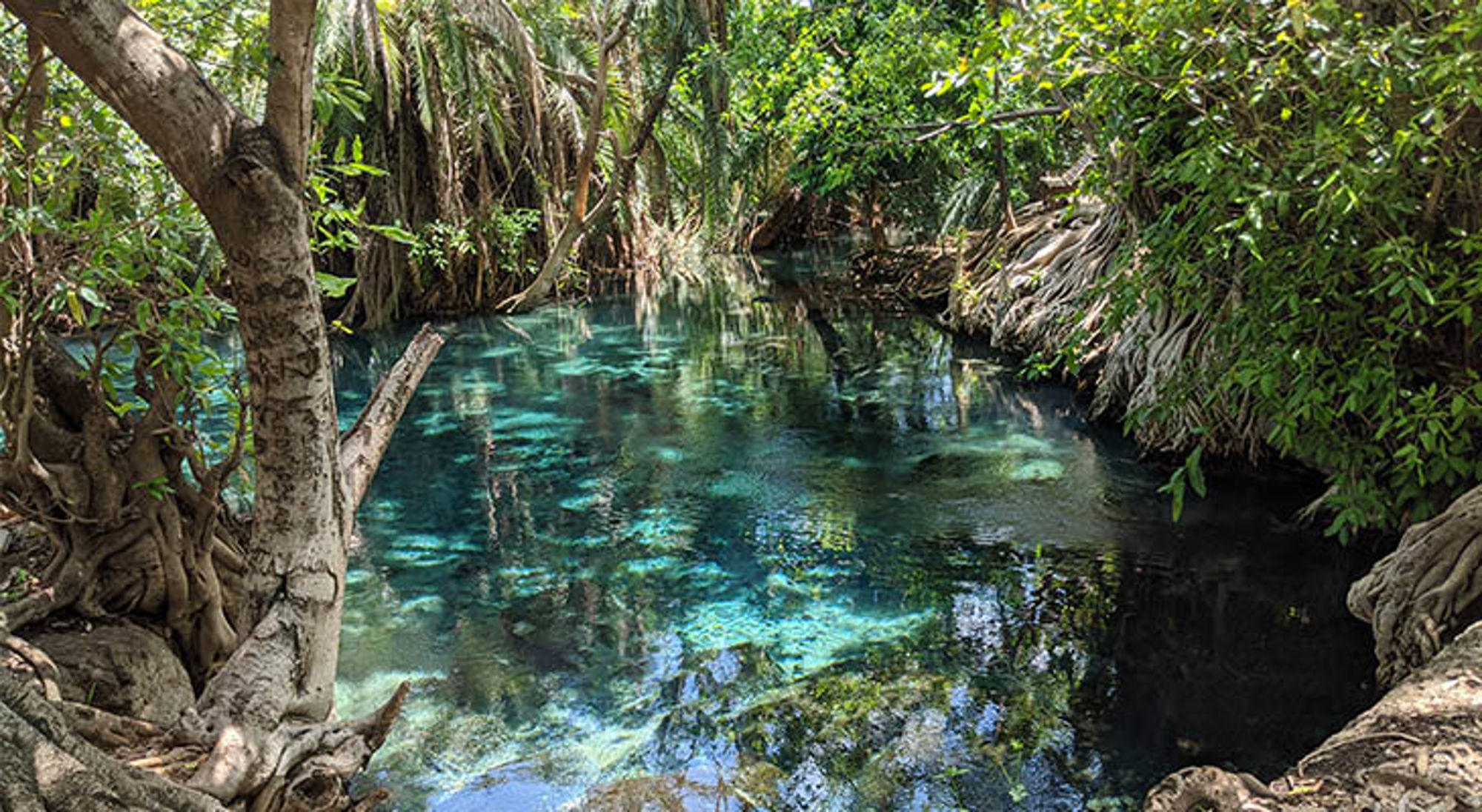 Kikuletwa Hot Spring in Tanzania Turquoise natuurlijke bron omringd door tropisch bos in Tanzania.