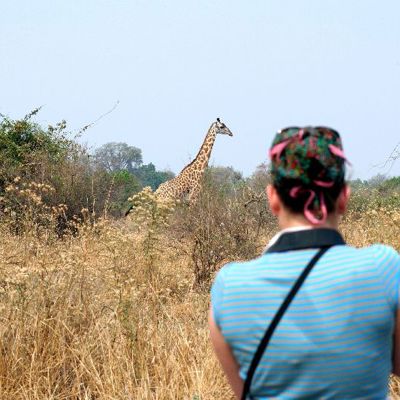 Reiziger spot een giraffe tijdens safari op de savanne in Zambia, Malawi en Tanzania.