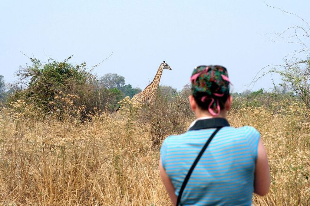 Reiziger spot een giraffe tijdens safari op de savanne in Zambia, Malawi en Tanzania.
