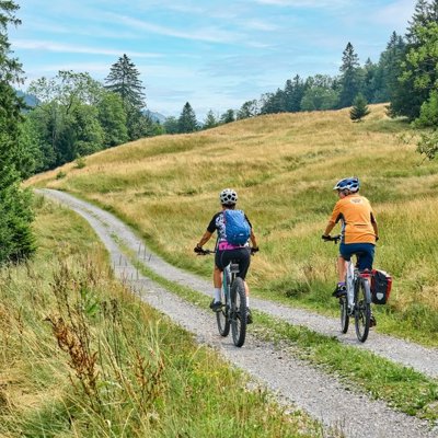 Fietsers op een bospad tijdens de fietsvakantie van Praag naar Wenen.