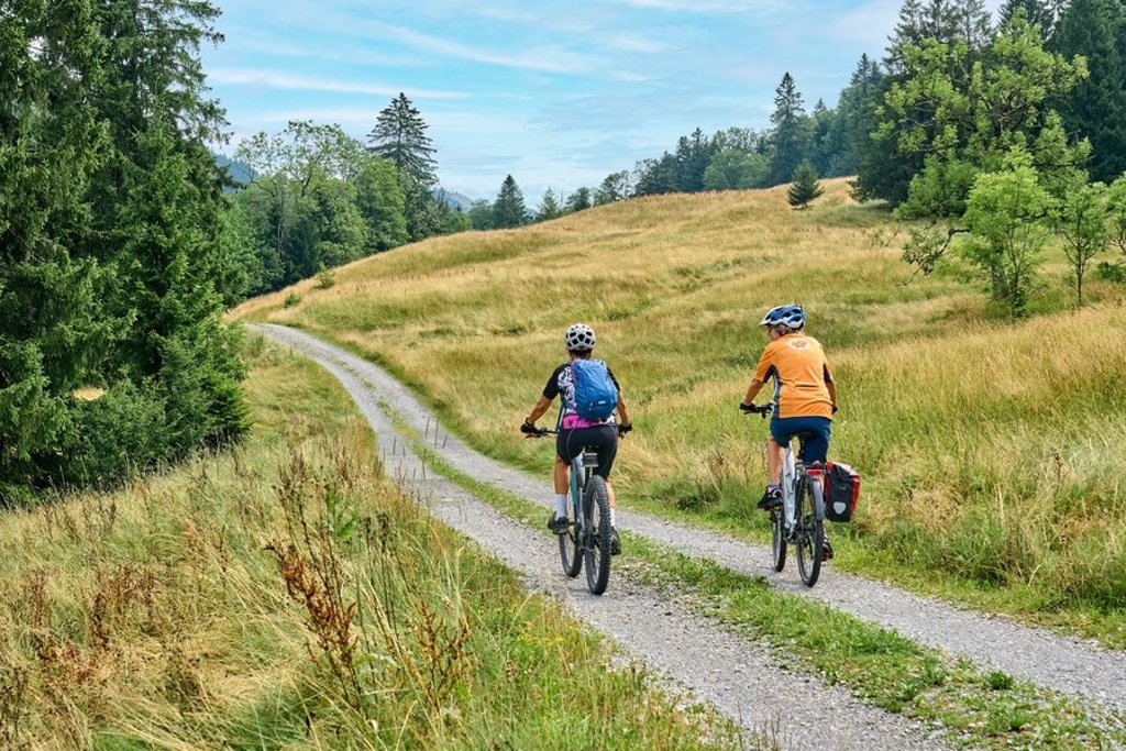 Fietsers op een bospad tijdens de fietsvakantie van Praag naar Wenen.