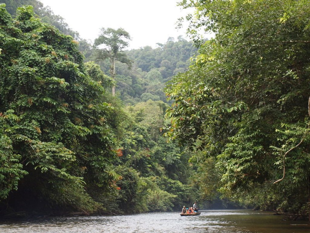 Boottocht over een rivier door het regenwoud van Maleisisch Borneo.