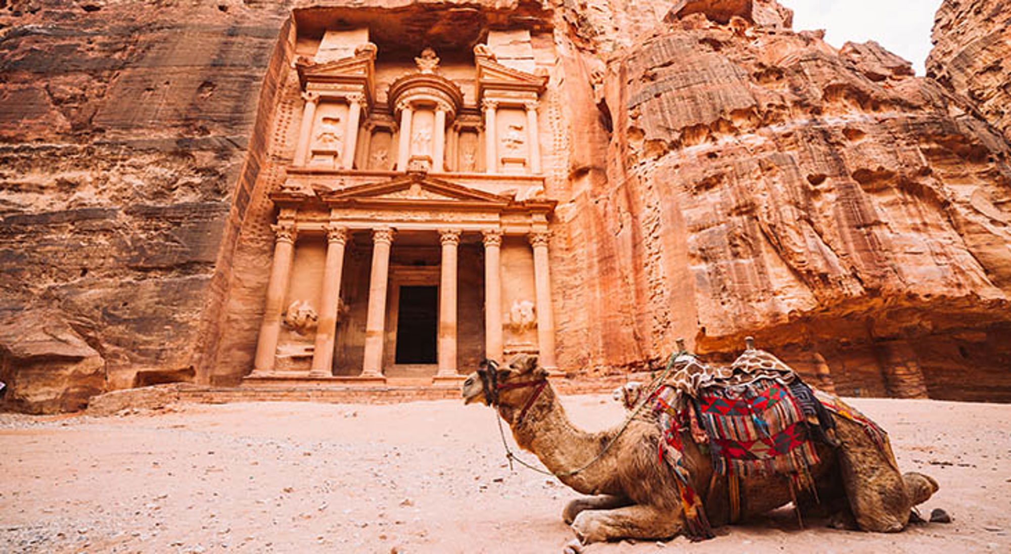 Petra Jordanië Kameel voor de Al-Khazneh (The Treasury) in Petra, Jordanië.