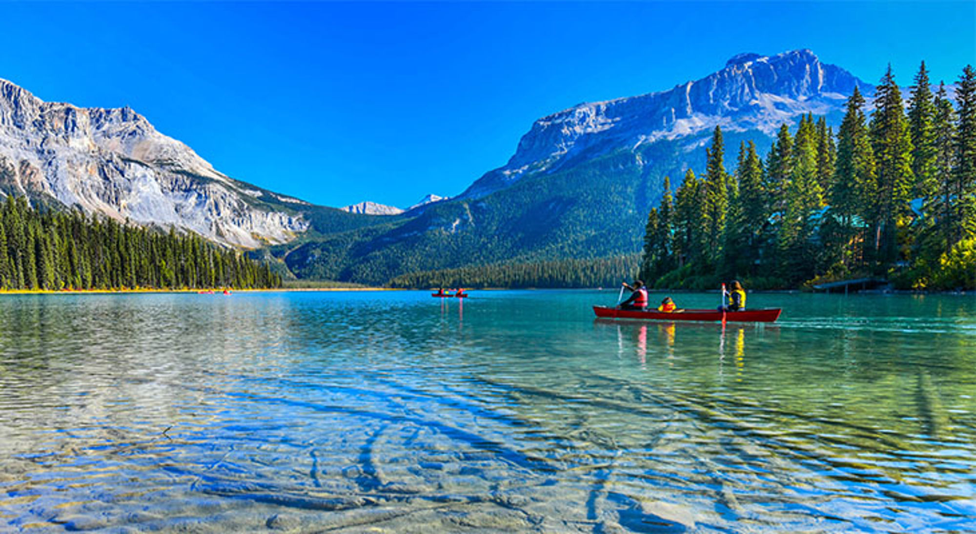 Emerald Lake, Yoho Nationaal Park Kanotocht op helderblauw bergmeer met dennenbos en besneeuwde bergtoppen op de achtergrond.