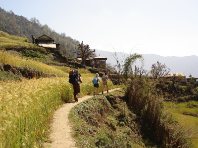 Wandelaars op een bergpad langs rijstterrassen tijdens de Nepal familiereis, dag 8.