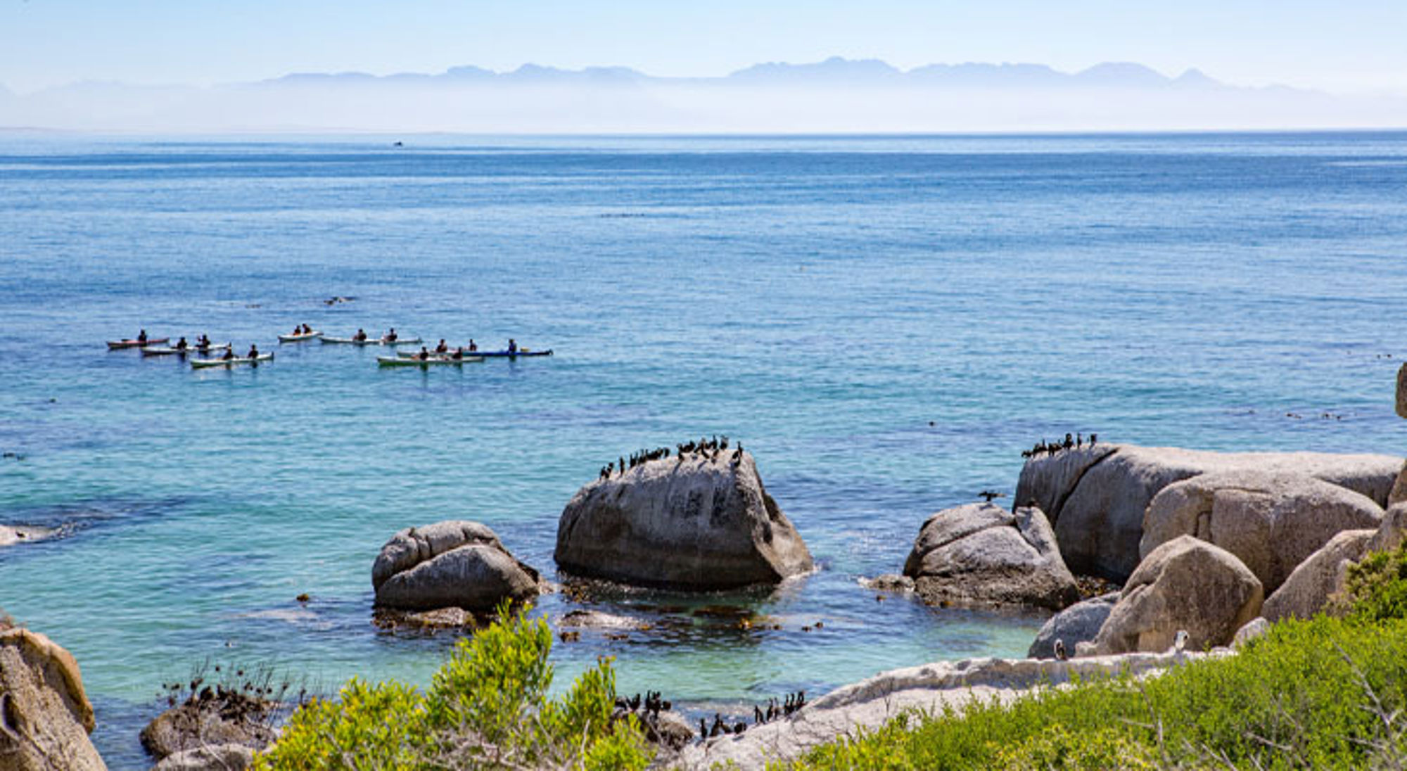 Uitzicht op Boulders Beach Kajaks op zee bij rotsachtige kust in Zuid-Afrika, met vogels op de rotsen en bergen aan de horizon.