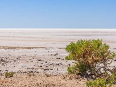 Groene struik aan de rand van een zoutvlakte in Australië tijdens de 21-daagse kampeer- & hotelreis route.