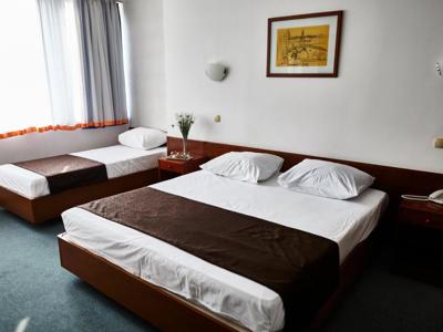 Hotel Saraj