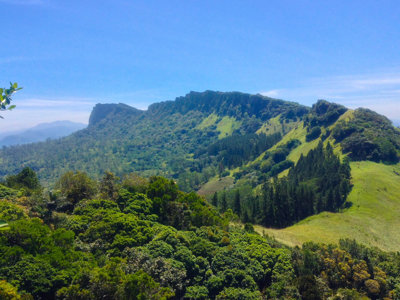 Groene bergkam en bossen in het binnenland van Sri Lanka tijdens een fietsvakantie.