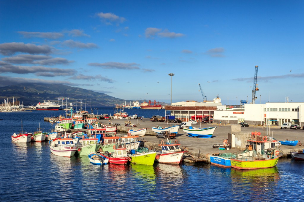 Kleurrijke vissersboten in de haven van Horta op Faial, Azoren, tijdens groepsrondreis Azoren Compleet.
