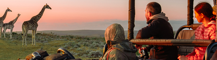 Safari in open jeep met reizigers die giraffen spotten bij zonsondergang.
