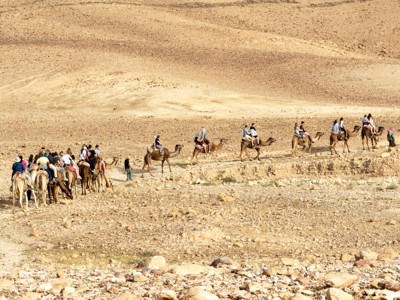 Kamelenkaravaan met reizigers door de Negevwoestijn tijdens de 12-daagse route Israël en de Palestijnse gebieden.