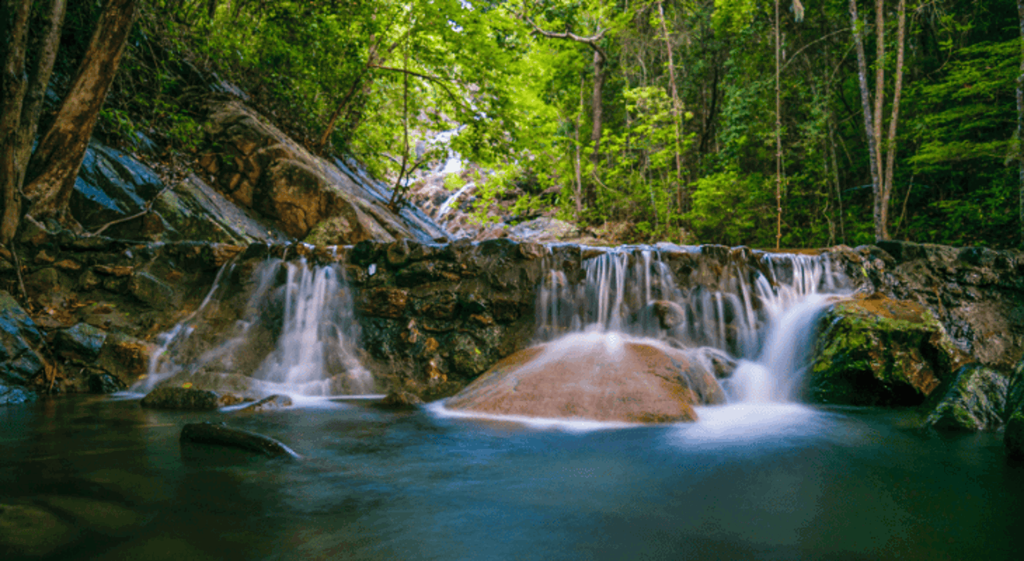 Waterval in groen bos met rotsen en helder stromend water.
