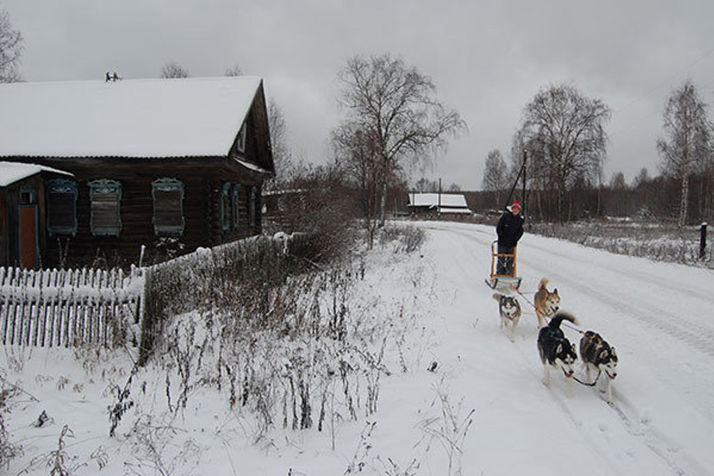 Hondenslee op een besneeuwde weg langs houten huizen tijdens groepsrondreis Rusland Winter.
