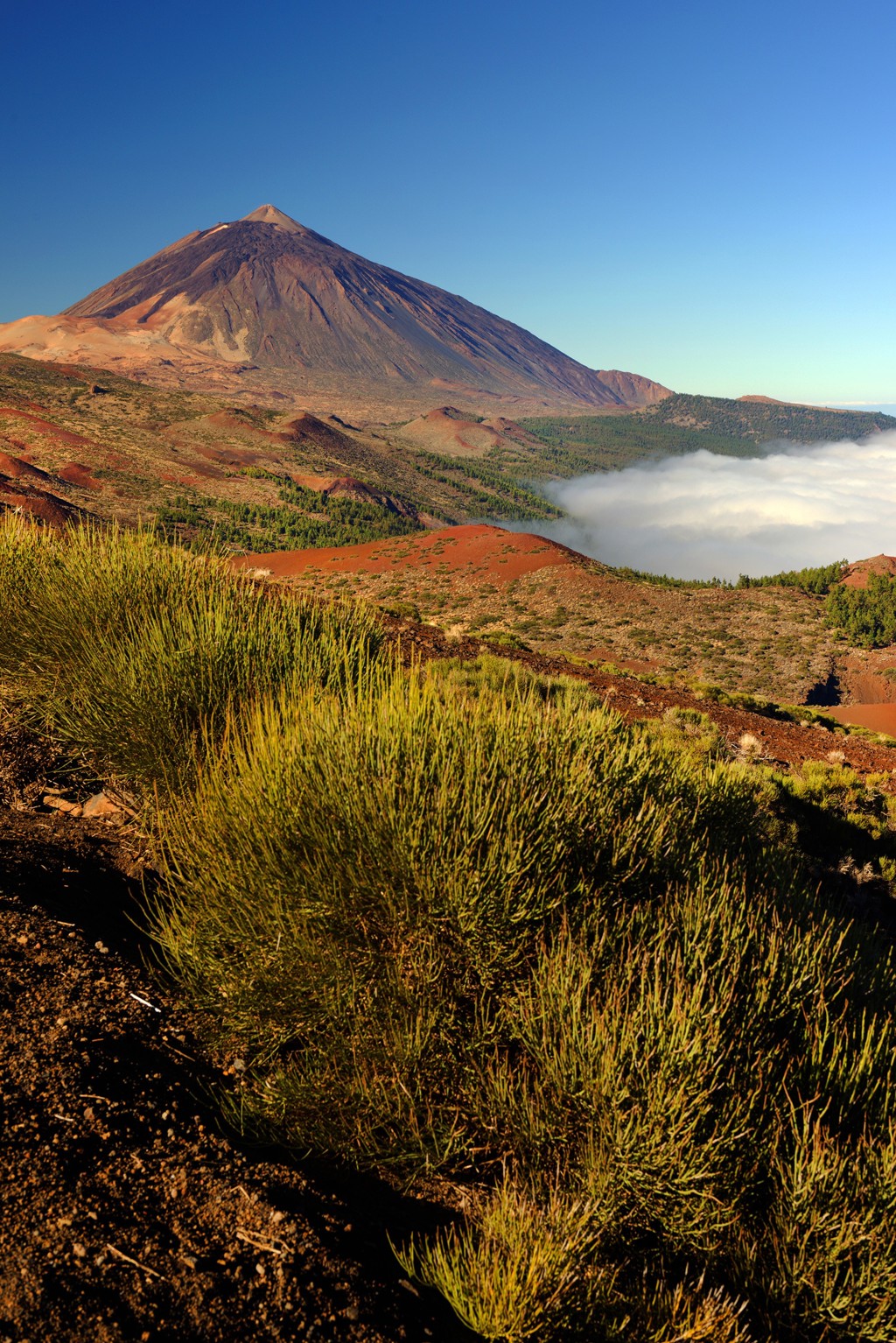 Uitzicht op de Teide-vulkaan op Tenerife met lavalandschap en wolken in de vallei.