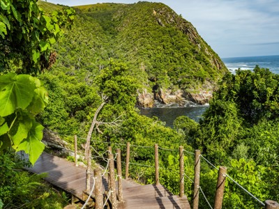 Houten wandelpad langs de groene kust bij Tsitsikamma op de route Kaapstad - Johannesburg.