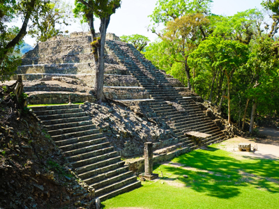 Maya-ruïne met stenen trappen in het groene regenwoud van Guatemala tijdens een 22-35ers groepsrondreis.