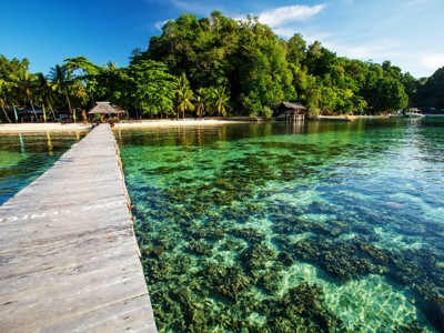 Houten pier naar een tropisch strand met palmen en helderblauw water op Sulawesi.