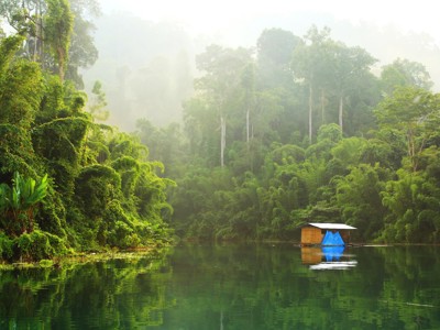 Drijvende hut op een groen meer in het regenwoud van Thailand, met mist tussen de bomen.