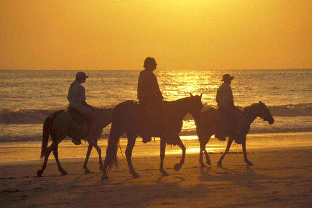 Ruiters te paard bij zonsondergang op het strand tijdens groepsrondreis Trans-Midden-Amerika.