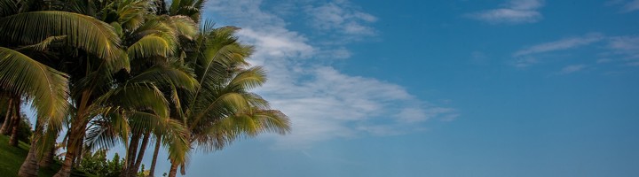 Palmbomen en zandstrand aan de kust bij Mancora, Peru.