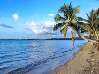 Tropisch strand op Maleisisch Borneo met palmbomen, kalme zee en blauwe lucht.