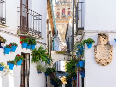 Smalle straat in Andalusië met witte gevels, blauwe bloempotten en uitzicht op een kerktoren.