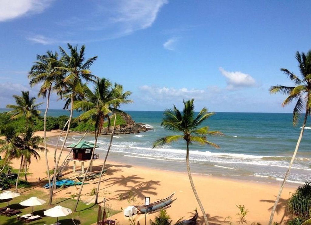 Palmbomen tegen een heldere lucht tijdens familiereis Sri Lanka en Malediven.