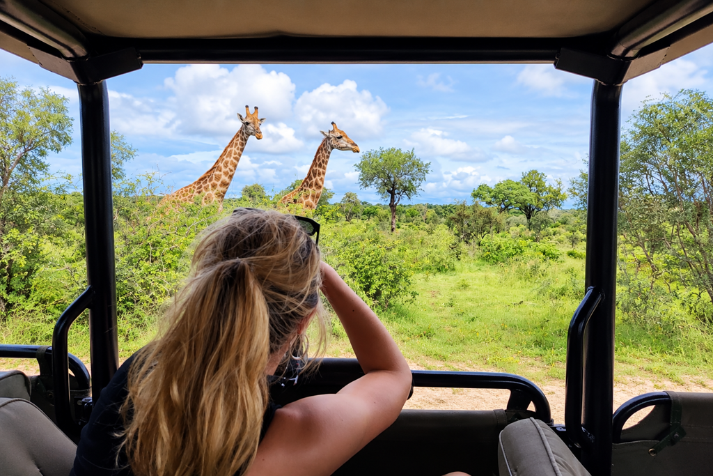 Safari Uitzicht Met Giraffen