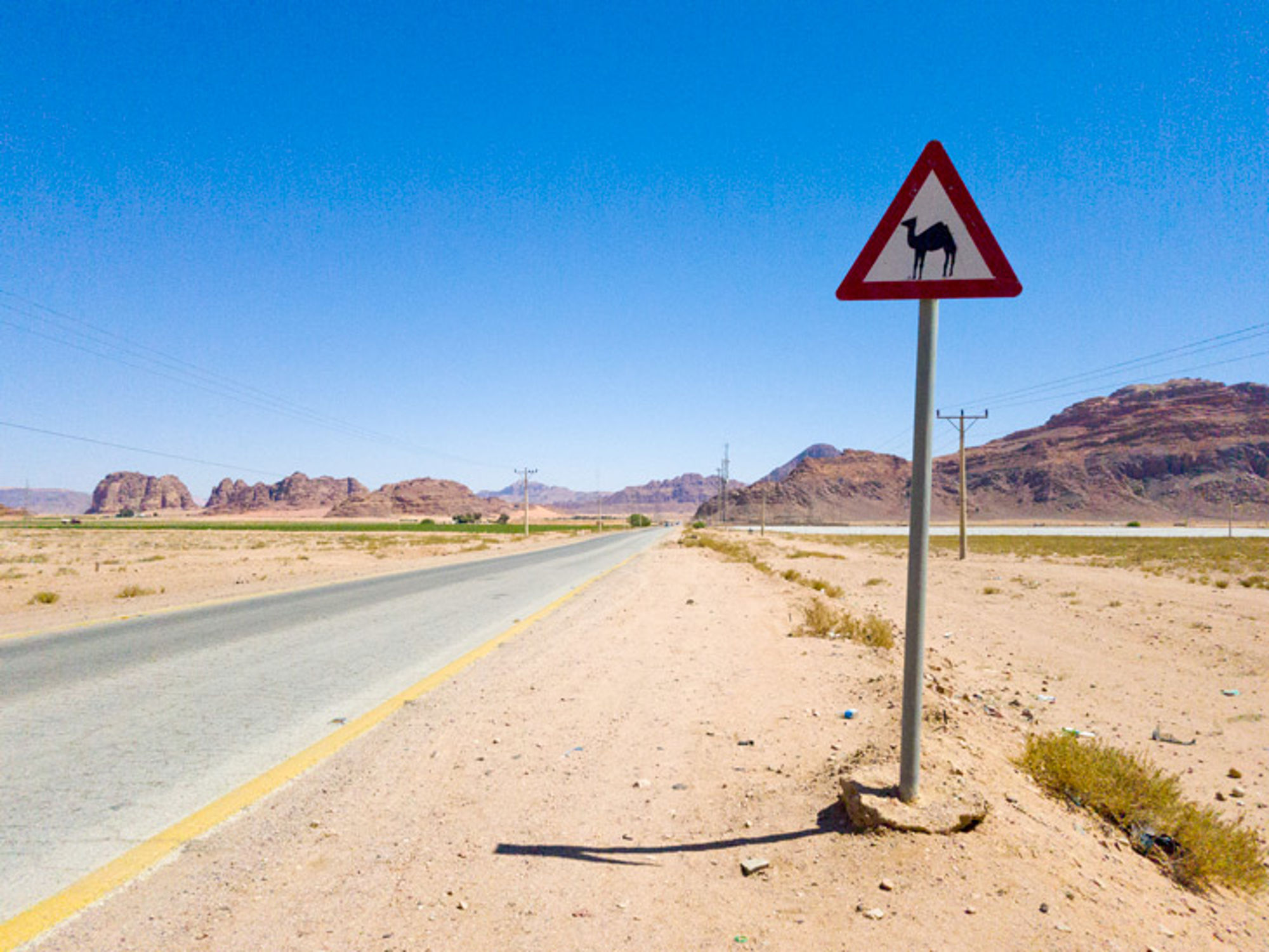 Waarschuwingsbord voor overstekende kamelen langs een lange woestijnweg met bergen op de achtergrond.