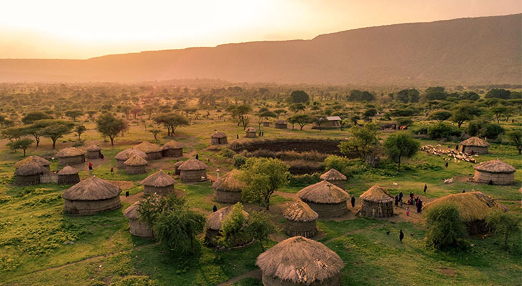 Masai-dorp dichtbij Arusha Traditioneel dorp met ronde lemen hutten en rieten daken in het landschap van Tanzania bij zonsondergang.