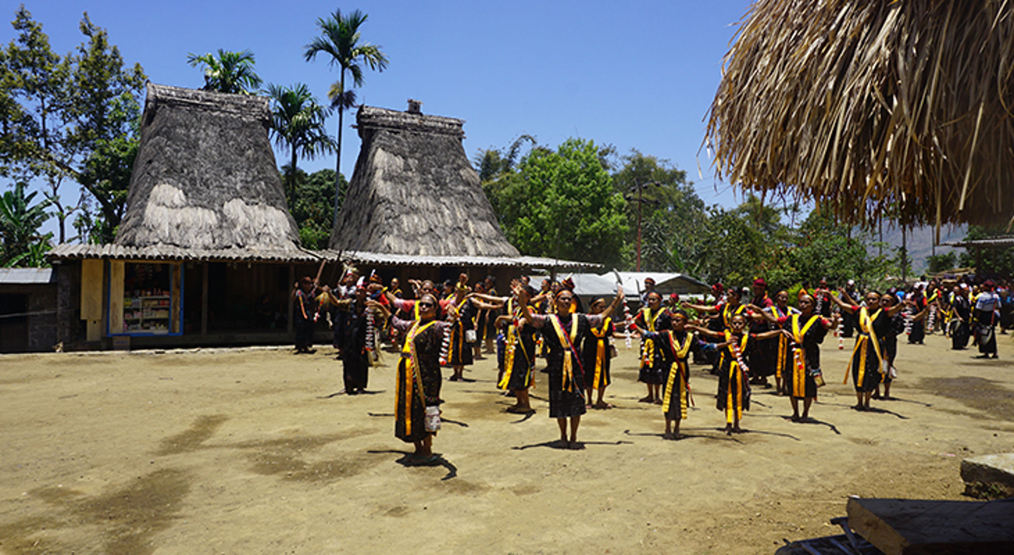 Dansende locals - Flores Eiland Traditionele dansvoorstelling in Indonesisch dorp met rieten huizen en dansers in kleurrijke kledij.