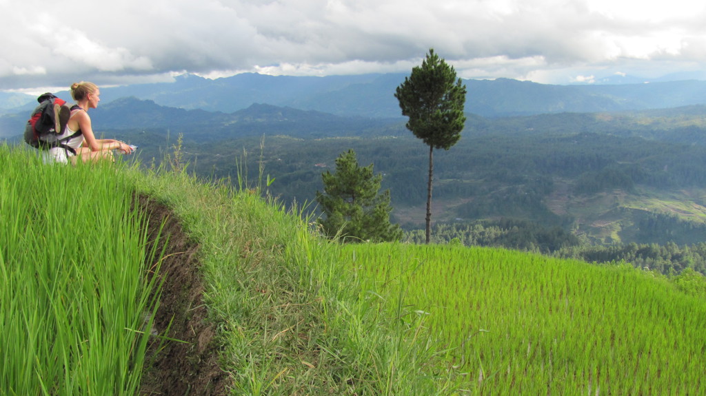 Backpacker geniet van uitzicht over groene rijstvelden en bergen op Sulawesi, Indonesië.
