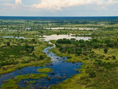 Uitgestrekte Okavango Delta met kronkelende waterlopen en groene eilandjes, gezien vanuit de lucht.