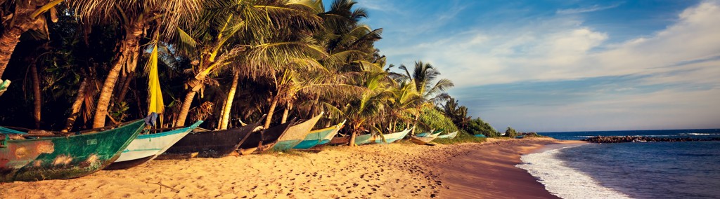 Tropisch strand in Sri Lanka met palmbomen en vissersboten langs de kust.
