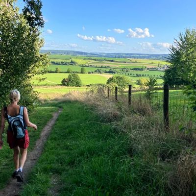 Wandelroute in de heuvels van de Dutch Mountain Trail, met bomen en uitzicht op het landschap.