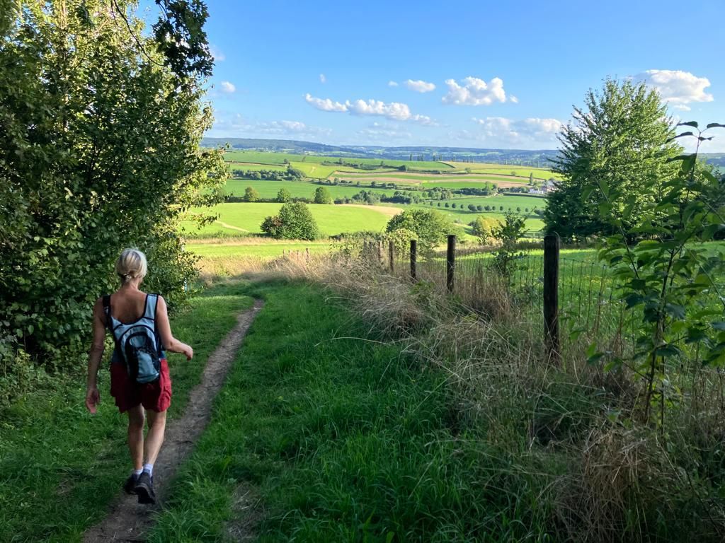 Wandelroute in de heuvels van de Dutch Mountain Trail, met bomen en uitzicht op het landschap.