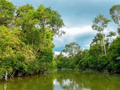 Groene rivier door de jungle op Maleisisch Borneo tijdens de familiereisroute.
