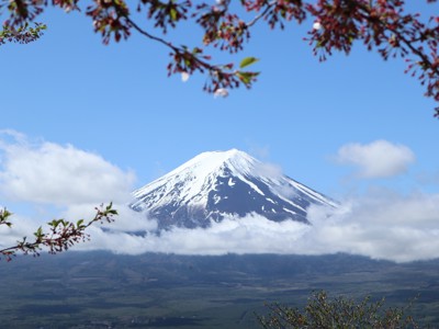 Besneeuwde top van de Mount Fuji met wolken en bloesemtakken op de voorgrond.