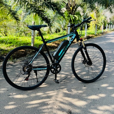 E-bike voor fietsreis in Sri Lanka op een rustige weg tussen palmbomen.