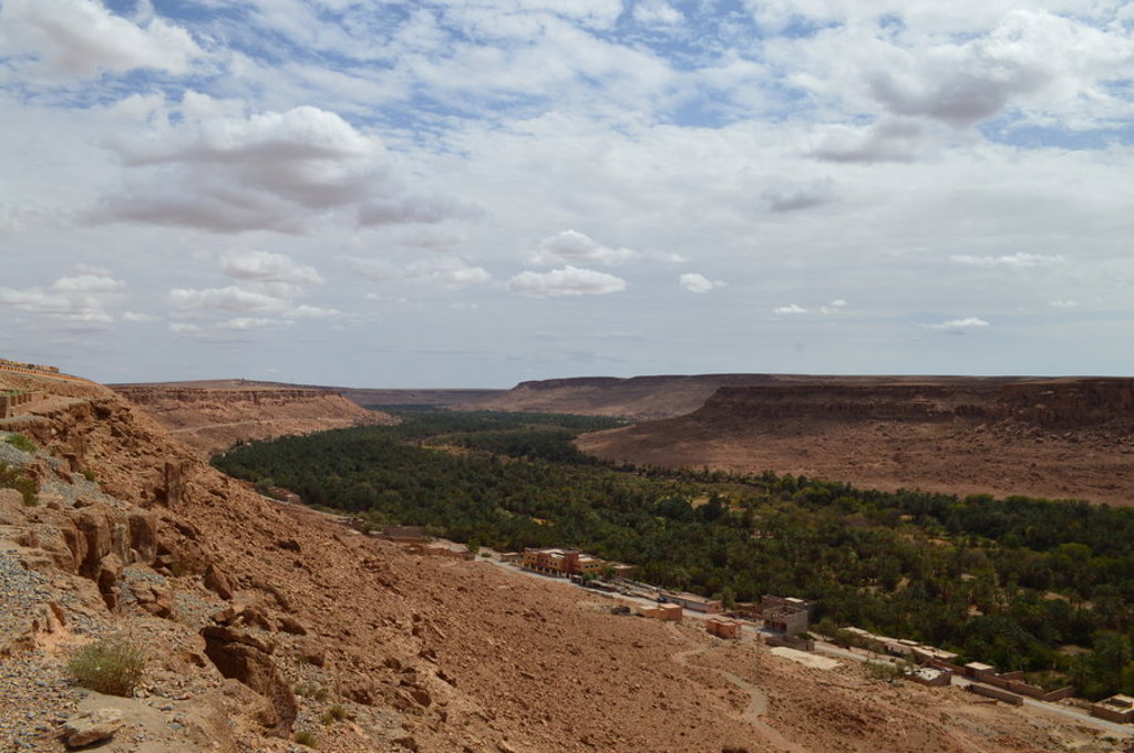 Uitzicht over een groene oasevallei tussen rotsachtige plateaus in Marokko tijdens een 22-35ers groepsrondreis.