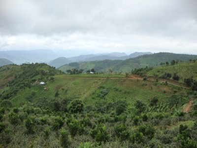Groene heuvels en akkers in de Shan-staat tijdens de Route Birma/Myanmar reis van 25 dagen.