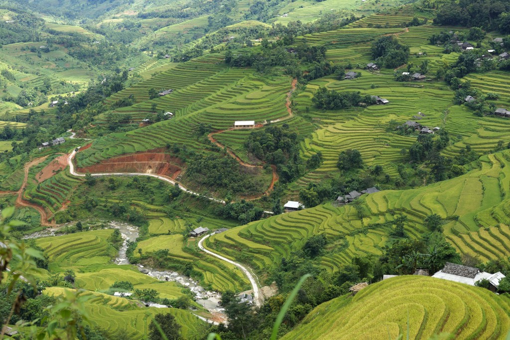 Groene rijstterrassen en kleine dorpen in de heuvels van Vietnam tijdens een groepsrondreis.