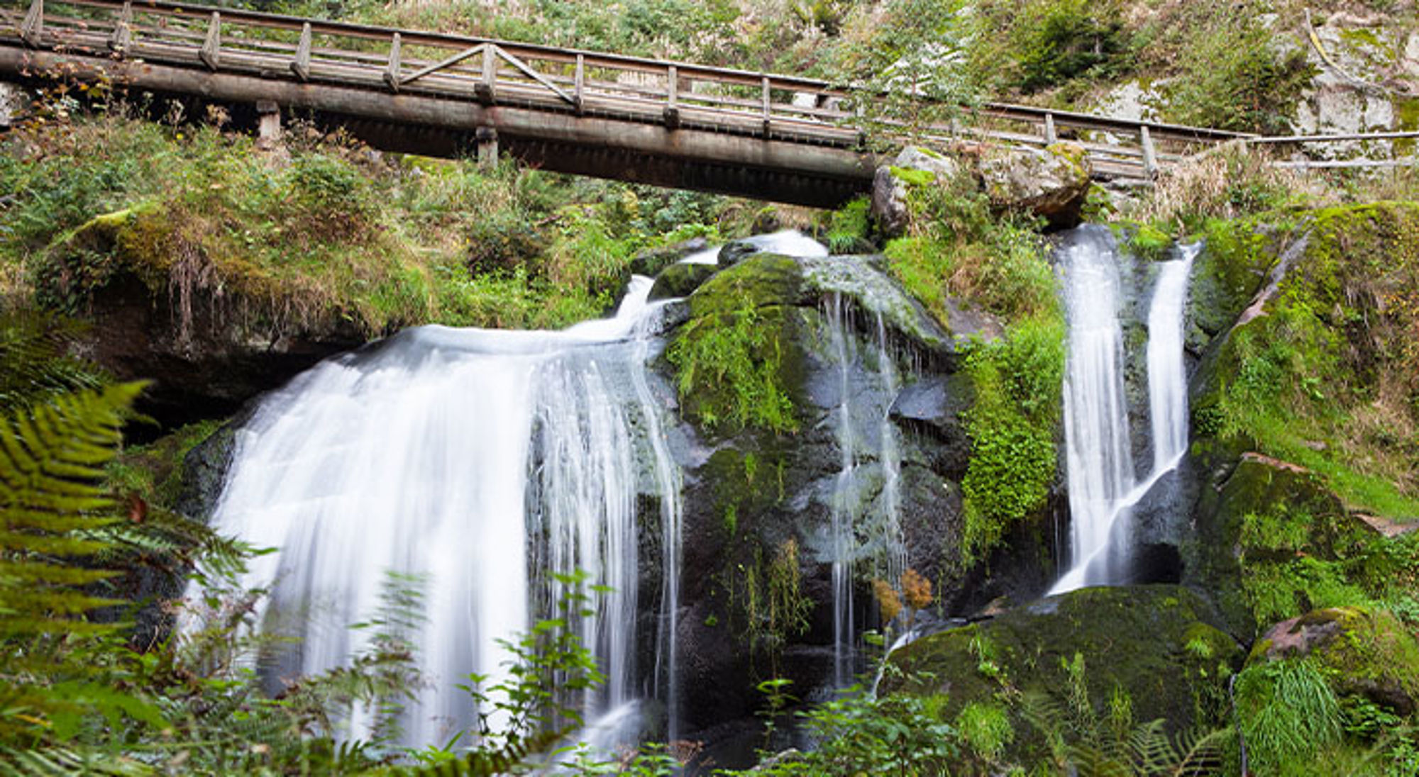 Triberg waterfall Germany Houten brug boven een waterval tussen met mos begroeide rotsen in een groen bos.